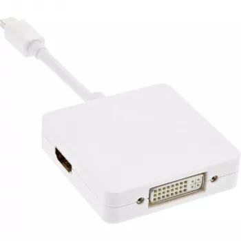 InLine Mini DisplayPort - HDMI DVI DisplayPort -adapterikaapeli 17195I