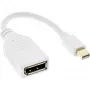 InLine Mini DisplayPort pistoke DisplayPort liittimeen -kaapeli, 4K2K, valkoinen, 0,15 m