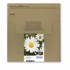 Epson T1806 Easy Mail Packaging värikasetti musta keltainen syaani magenta