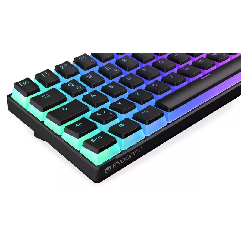 Pelikuulokemikrofoni ENDORFY Thock Compact RF langaton USB QWERTZ 61 painiketta RGB LED