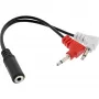 InLine audio-tasoliitäntäkaapeli, 2x 3,5 mm pistoke - 3,5 mm liitäntä 3-napainen, 0,15 m