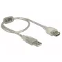 USB-kaapeli DeLOCK 82244 USB 2.0 0,3 m läpinäkyvä
