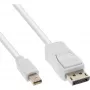 InLine Mini DisplayPort - DisplayPort -kaapeli valkoinen 1,5 m