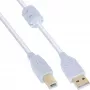 InLine USB 2.0 -kaapeli Type-A-uros / Type-B-uros, kullattu, ferriitillä, valkoinen, 5 m