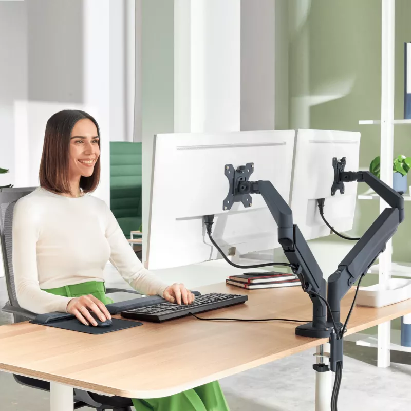 Leitz Ergo tilaa säästävä kaksoisnäyttöteline, 9 kg, 43,2 cm (17 inch), 81,3 cm (32 inch), 75 x 100 mm, korkeussäädettävä, harmaa