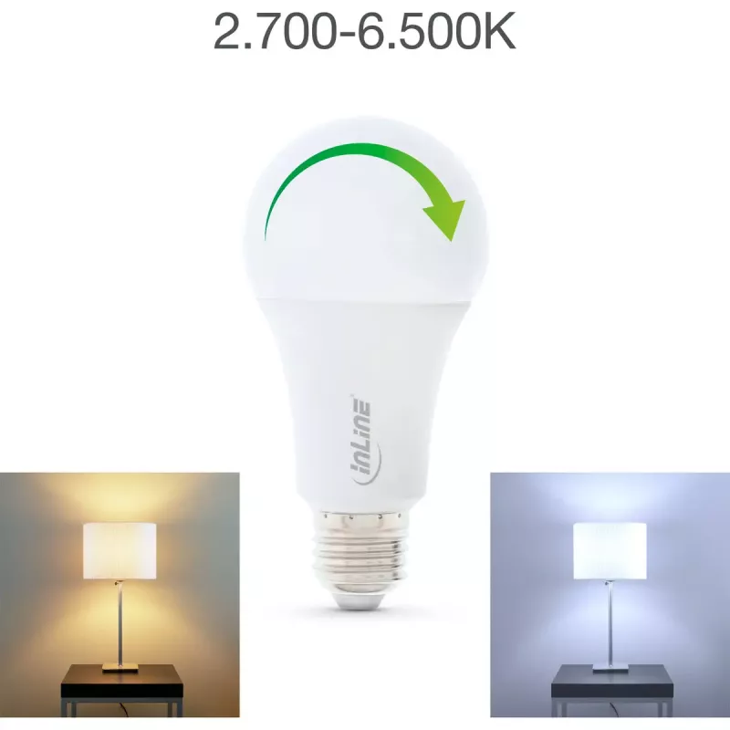 InLine SmartHome LED-lamppu RGB E27, 900LM
