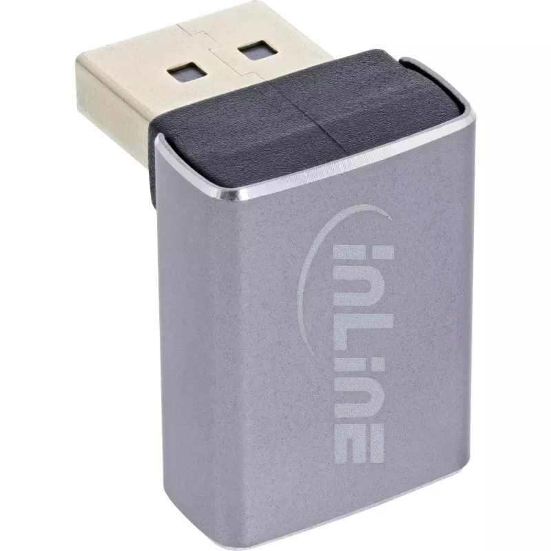 InLine 17291G kaapelin sukupuolenmuunnin DisplayPort harmaa, musta