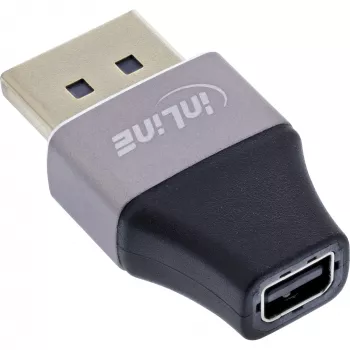 InLine 17291B kaapelisovitin DisplayPort Mini DisplayPort musta, harmaa
