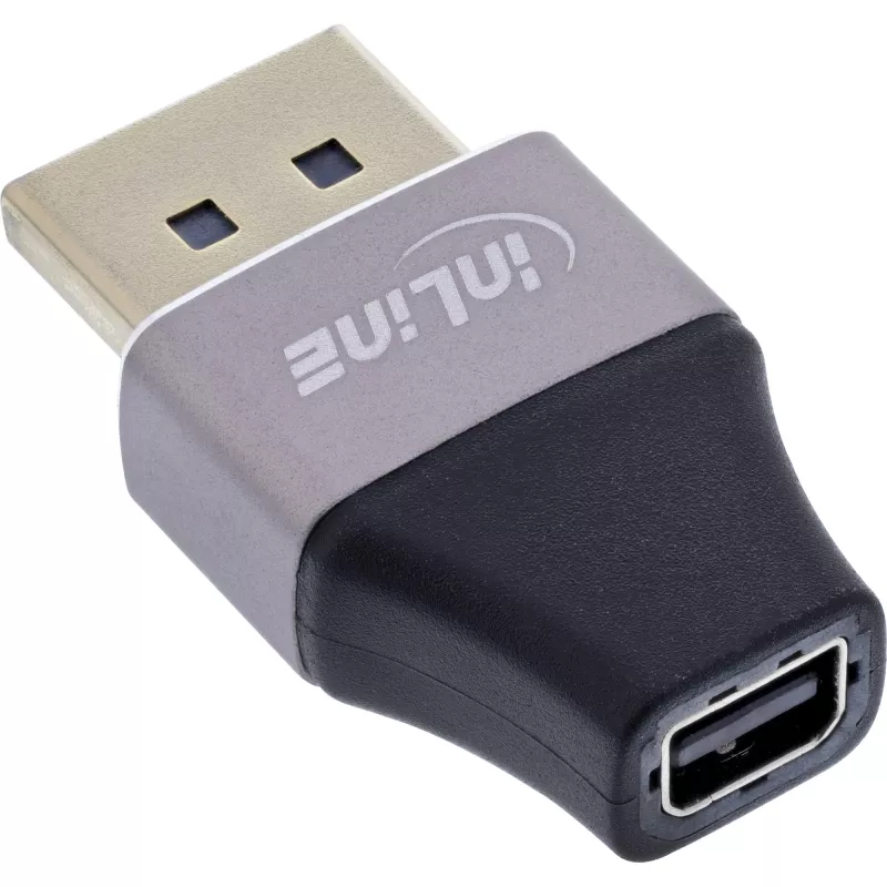 InLine 17291B kaapelisovitin DisplayPort Mini DisplayPort musta, harmaa