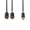 Audiokaapeli Nedis CABW22200AT20 2 m 3,5 mm 2 x RCA antrasiitti