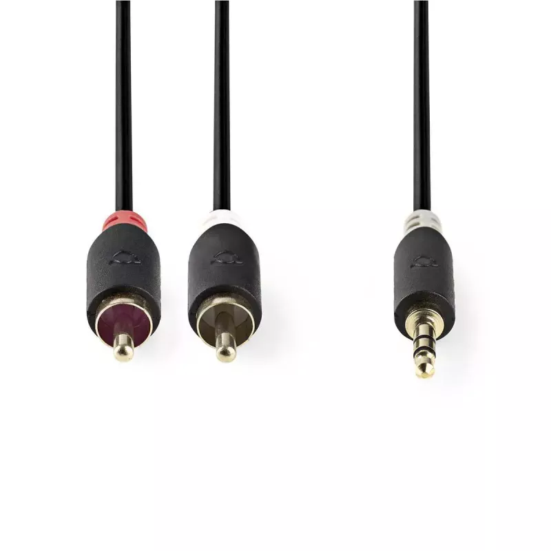 Audiokaapeli Nedis CABW22200AT20 2 m 3,5 mm 2 x RCA antrasiitti