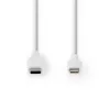 Lightning-kaapeli Nedis CCGW39650WT10 1 m valkoinen USB-C