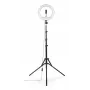 Rengasvalo Hama SpotLight Steady 120 III 160 LED 1020 lm 3000 K