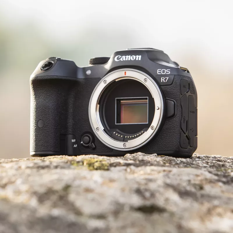 Canon EOS R7 MILC -runko 32,5 MP CMOS 6960 x 4640 pikseliä musta