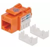 Intellinet Keystone Jack, Cat6, UTP, Punch-down, oranssi