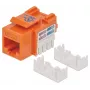 Intellinet Keystone Jack, Cat6, UTP, Punch-down, oranssi