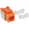 Intellinet Keystone Jack, Cat6, UTP, Punch-down, oranssi