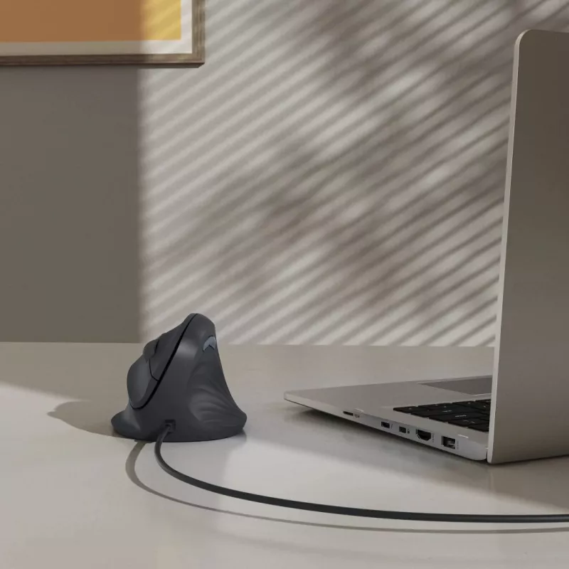 Hama ECM-500R hiiri toimisto oikeakätinen USB Type-A optinen 1800 DPI
