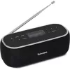 Kannettava radio TechniSat 0000/3968