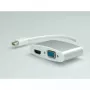 Adapteri Mini DisplayPort - HDMI/VGA ROLINE 12.03.3161