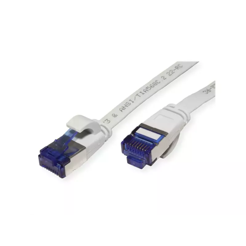 Verkkokaapeli VALUE 21.99.2111 1 m Cat6a F/UTP harmaa