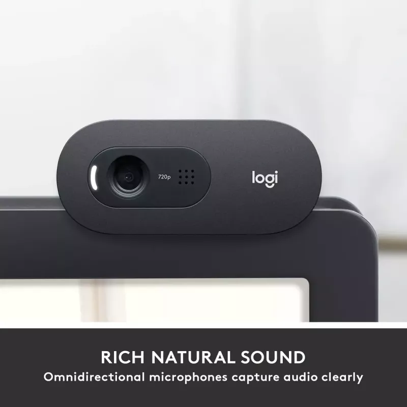 Verkkokamera Logitech C505 HD 1280x720 USB musta