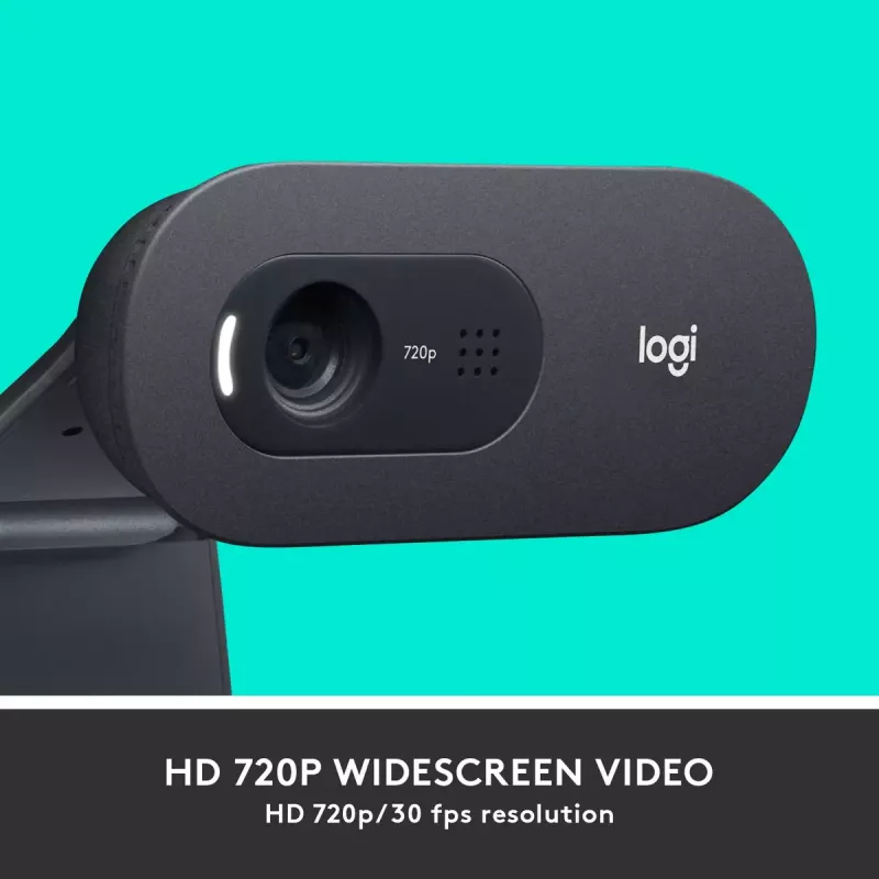 Verkkokamera Logitech C505 HD 1280x720 USB musta