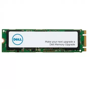 DELL AA615517 sisäinen SSD-kiintolevy 256 GB M.2 Serial ATA