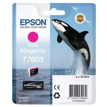 Mustekasetti Epson T7603 magenta