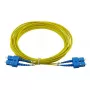 BlueOptics CAB-SMF-SC-SC-30 InfiniBand-kuitukaapeli 30 m SC SC
