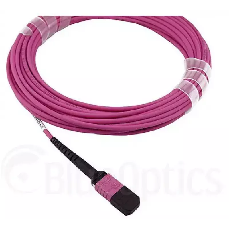 Kuituoptinen kaapeli MPO BlueOptics CBL-MPO12-OM4-1M 1 m OM4