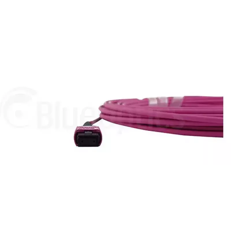 Kuituoptinen kaapeli MPO BlueOptics CBL-MPO12-OM4-1M 1 m OM4