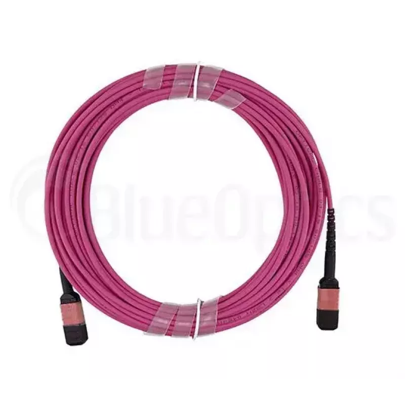 Kuituoptinen kaapeli MPO BlueOptics CBL-MPO12-OM4-1M 1 m OM4