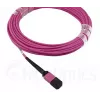 Kuituoptinen kaapeli MPO BlueOptics CBL-MPO12-OM4-20M-BO 20 m OM4