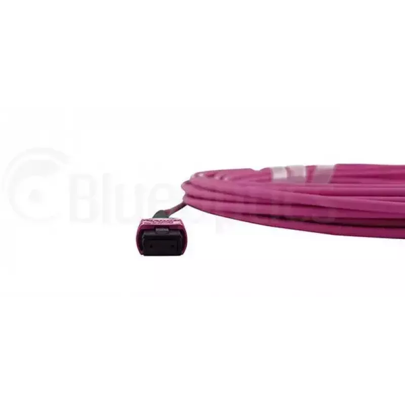 Kuituoptinen kaapeli MPO BlueOptics CBL-MPO12-OM4-20M-BO 20 m OM4