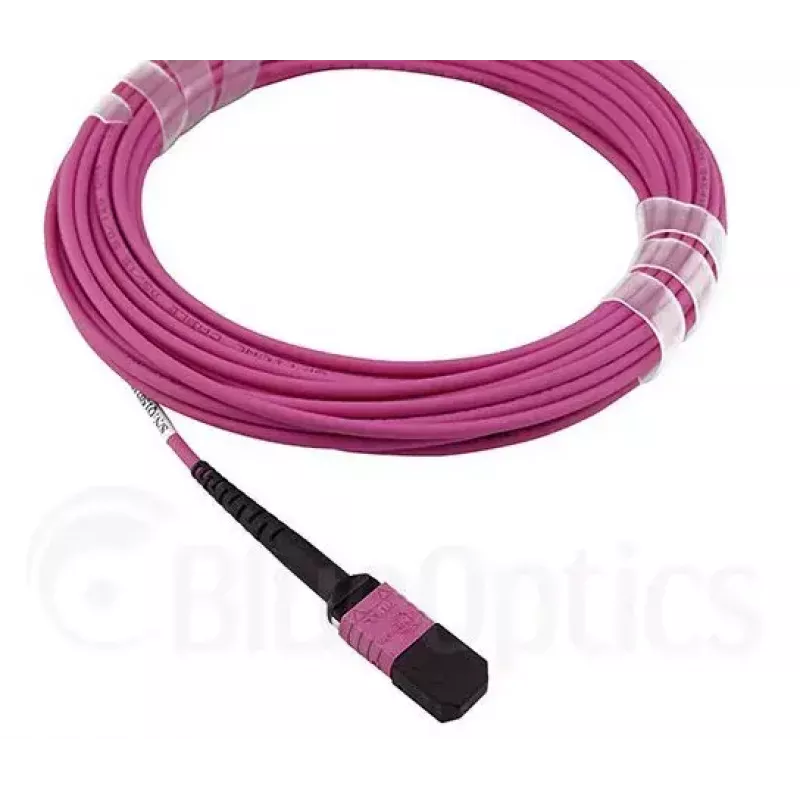 MPO-kuituvalokaapeli BlueOptics CBL-MPO12-OM4-5M-BO 5 m OM4 50 µm