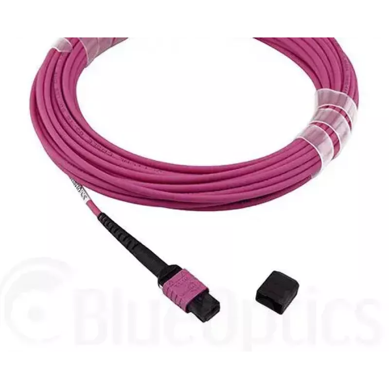 MPO-kuituvalokaapeli BlueOptics CBL-MPO12-OM4-5M-BO 5 m OM4 50 µm