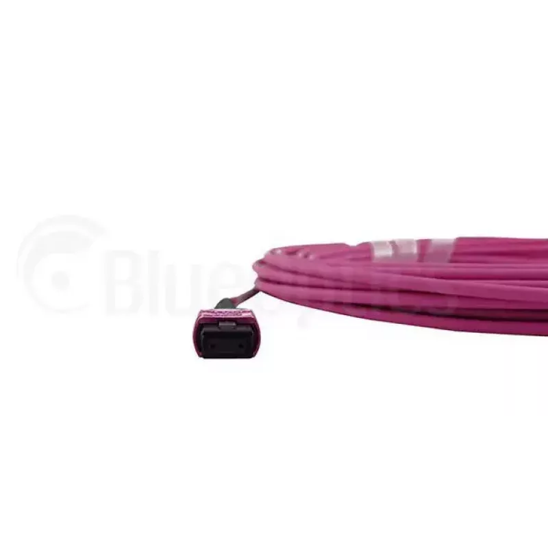 MPO-kuituvalokaapeli BlueOptics CBL-MPO12-OM4-5M-BO 5 m OM4 50 µm