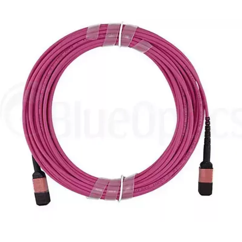 MPO-kuituvalokaapeli BlueOptics CBL-MPO12-OM4-5M-BO 5 m OM4 50 µm