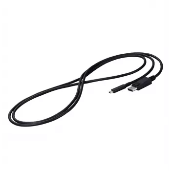 EIZO CP200-BK DisplayPort-kaapeli 2 m USB Type-C musta
