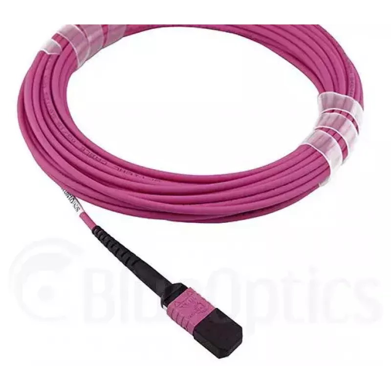 BlueOptics HH5CP InfiniBand-/kuitukaapeli 3 m MPO 4x LC