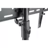 Techly ICA-TR17T kylttikiinnitteinen näyttöteline 177,8 cm (70 inch) musta