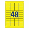 Itseliimautuva suorakaidetarra Avery L6103-20