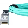 BlueOptics SFP-10G-AOC1M-BO InfiniBand/kuitu kaapeli 1 m SFP+