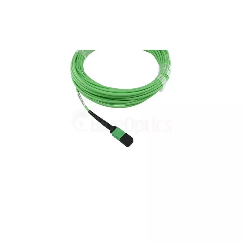 Kuitukaapeli BlueOptics SFP5141GU10MKB MPO 4x LC OM5 10 m limetti