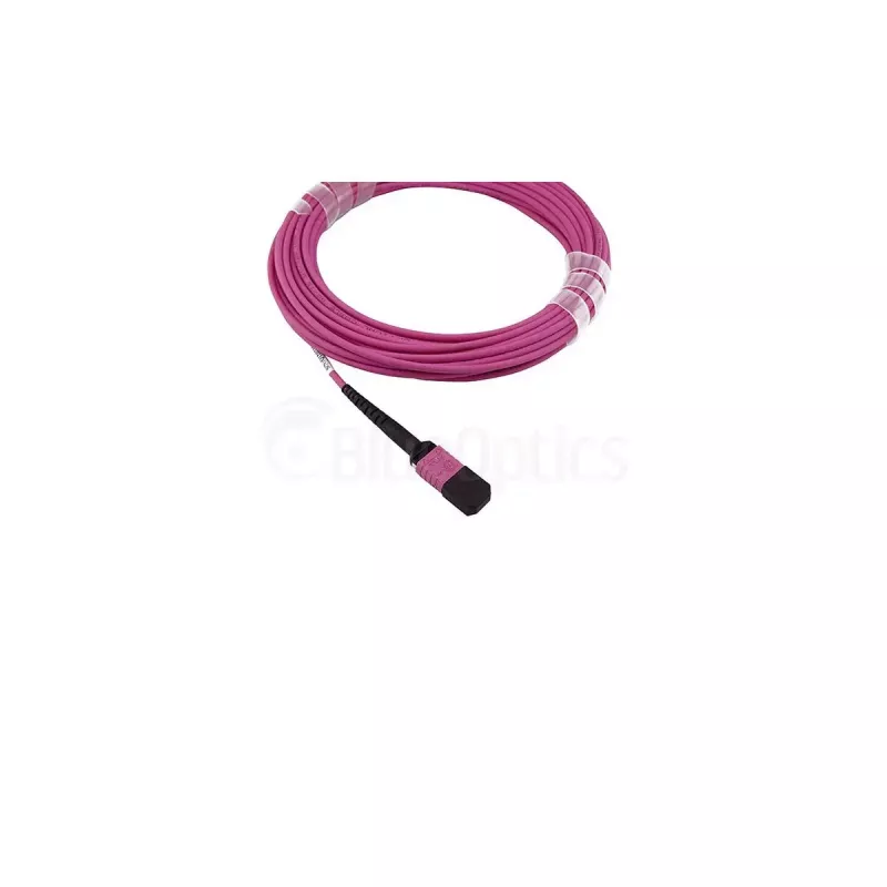 BlueOptics SFP5252FU0.5MKB InfiniBand-kuitu-kaapeli 0,5 m MPO