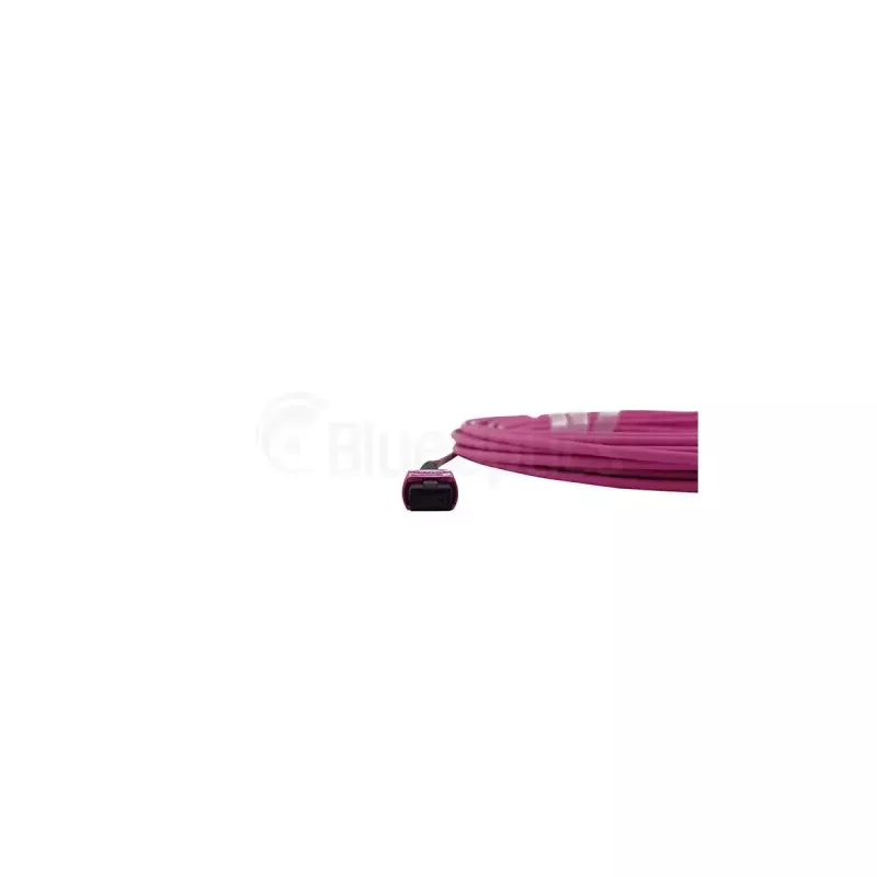 Kuitu-kaapeli BlueOptics SFP5252FU50MKB MPO OM4 50 m violetti