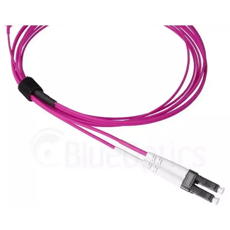 Kuitukaapeli BlueOptics SFP9231FU2MK MDC LC OM4 2 m magenta