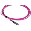 Kuitukaapeli BlueOptics SFP9231FU7.5MK MDC LC OM4 7,5 m magenta