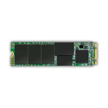 SSD-asema Transcend 256 GB M.2 6 Gbit/s TS256GMTS832S